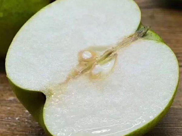 中国十大名梨有哪些