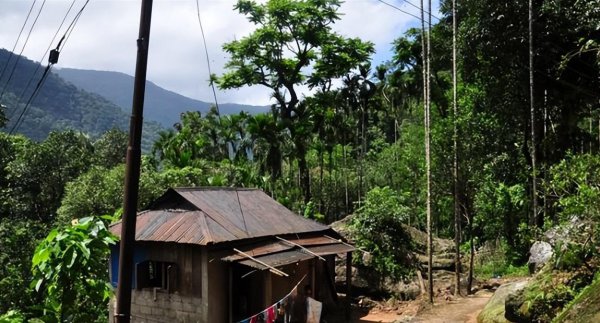世界雨极在哪里