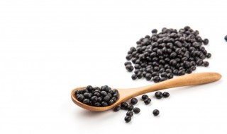 黑豆是热性还是凉性的 黑豆性温还是性寒