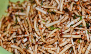 新鲜的鱼腥草根煮水怎么做 新鲜鱼腥草根怎么煮水