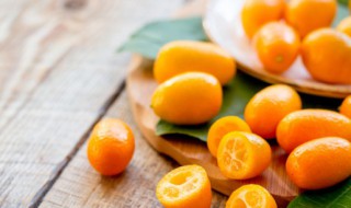 金桔红茶怎么做 金桔茶的制作方法