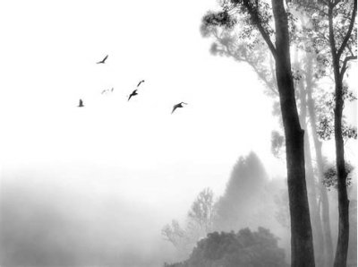 简短十句话穿透人心短句 人生感悟的经典这里句子