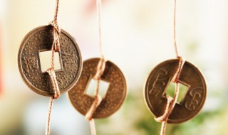 本命年兔年注意事项是什么 本命年兔年注意事项是啥