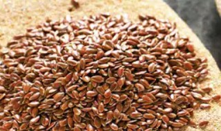 黄金亚麻籽了解多少 黄金亚麻籽是什么