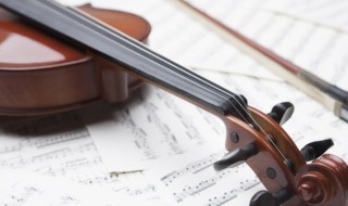 中提琴与小提琴的区别 中提琴与小提琴的不同