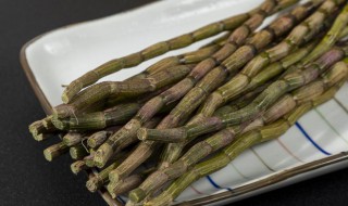 新鲜石斛保存技巧分享 新鲜石斛如何保存更好