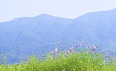 一个祖坟管几代人 上坟不过三代祭拜不过未时怎么理解