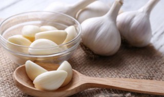 在家蒜黄怎么种植方法 蒜黄如何种植