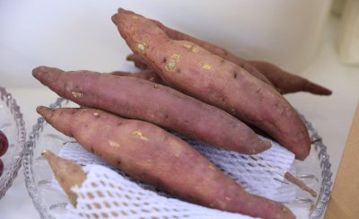 红薯什么季节收获最好 目前农村种植红薯有补贴吗