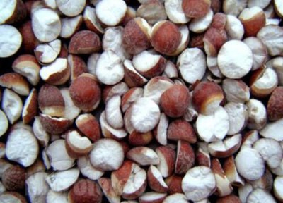芡实的功效与作用 芡实的功效与作用及食用方法