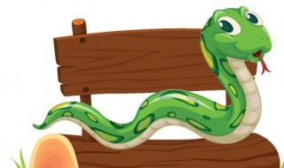 梦见断尾蟒蛇是什么意思 梦见蟒蛇断尾巴的含义