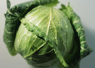 圆白菜洗干净的方法 圆白菜怎么洗才干净