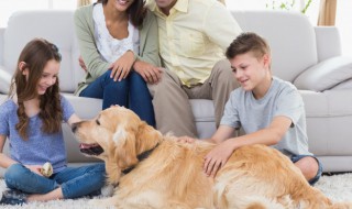 感恩节的句子父母 感恩节对父母的祝福语