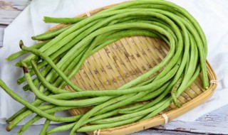 豆角如何保鲜 豆角的保鲜方法分享