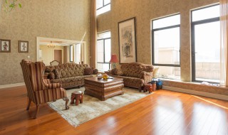 冬天室内盆栽养什么植物好 冬天室内盆栽种植哪些好