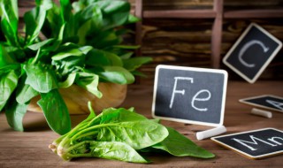 秋天适合种的蔬菜 秋天适合栽种什么蔬菜