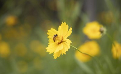 射手男疯狂爱你的表现有哪些 射手男动情喜欢后的表现