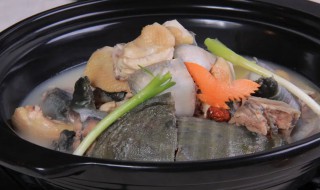 甲鱼放什么材料炖好吃 甲鱼放哪些材料炖好吃
