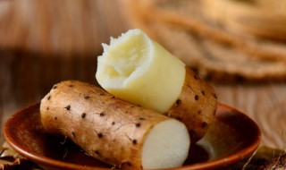 山药怎么烧汤 山药玉米排骨汤的做法