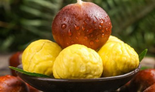 粟子能生吃吗 栗子可不可以生吃呢