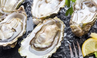 海鲜如何制作干净好吃 海鲜怎么制作干净好吃