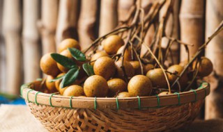 桂圆怎样挑选 挑选优质桂圆的六大方法