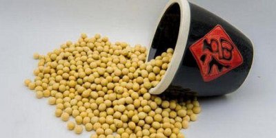 生黄豆和熟黄豆打豆浆哪个好 做出来的豆浆营养一样吗