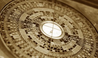 门口招财树摆放禁忌 招财树摆放禁忌介绍