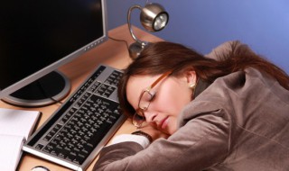 梦到白猫是什么意思 梦见白猫是代表什么