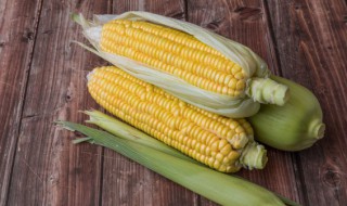 玉米放了一夜还能吃吗 玉米放了一夜还可以吃吗