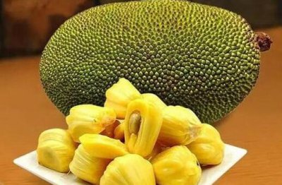 菠萝蜜催熟最快的方法 晒阳光也是菠萝蜜的催熟方法之一