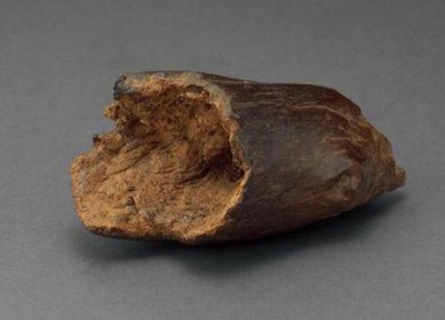 什么沉香品种最好 有多少种品种及图片