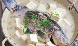 孕妇吃鲫鱼怎么做最好 孕妇吃鲫鱼如何做最好