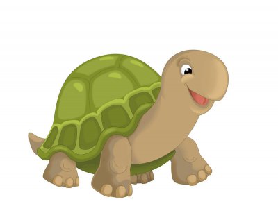 乌龟的食物有哪些 肉素两食的乌龟最爱吃什么东西