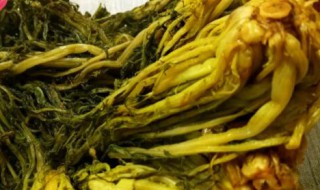 雪里红怎么腌制? 雪里红的正宗腌制方法