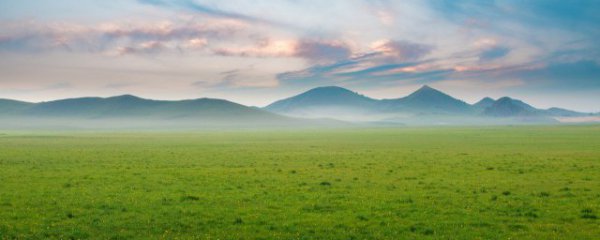 梦见草原什么意思