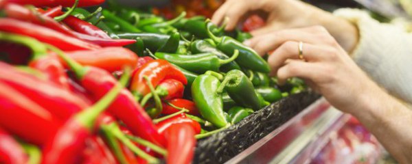 辣椒怎么种植方法在家