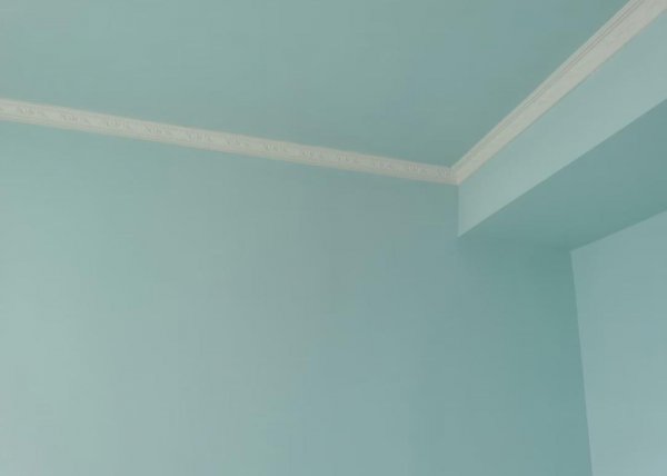 墙衣的优缺点分别是什么