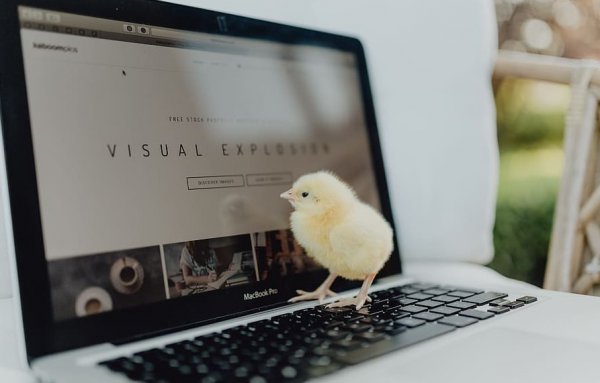 电脑开机一堆英文然后进不去