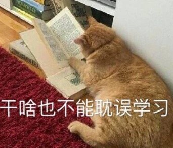 电脑开机一堆英文然后进不去