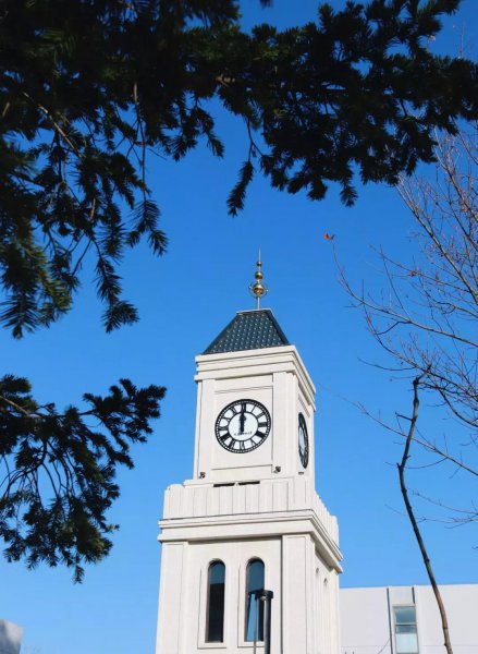 大连外国语大学是211还是985学校