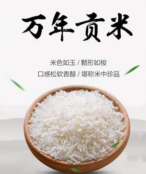 中国最好的大米十大品牌