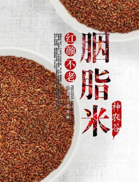 中国最好的大米十大品牌