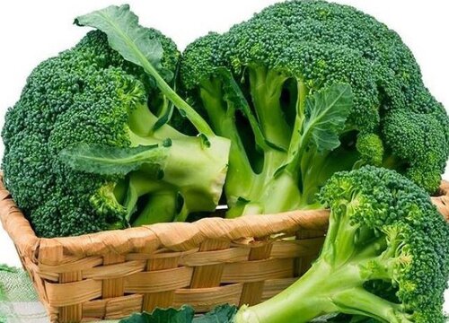 西兰花和花椰菜一样吗