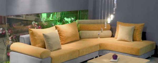 冬天都是哪些室内花卉