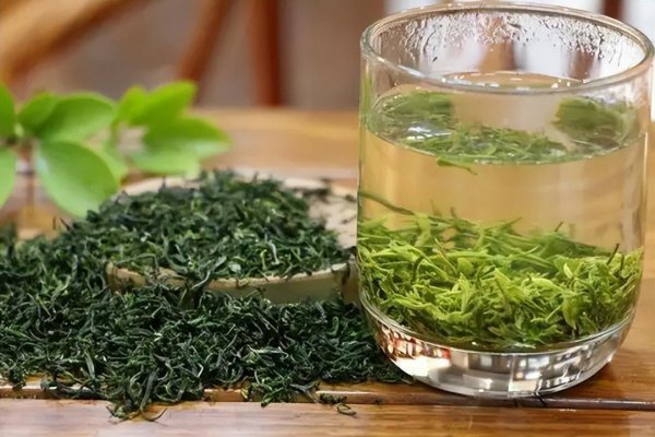 入伏喝什么茶最好祛湿解暑