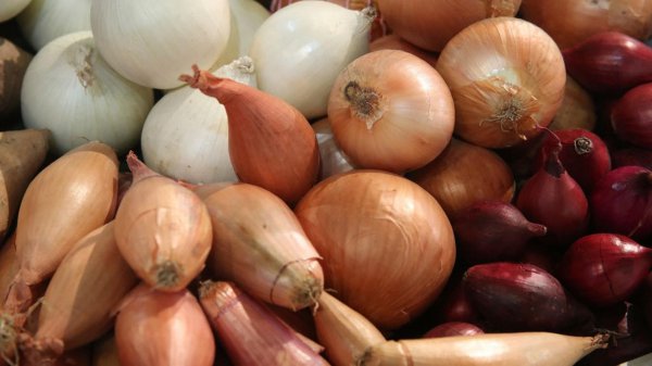 18种让你越吃越瘦的菜