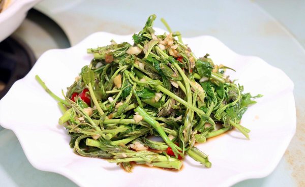 香椿什么时候发芽采摘