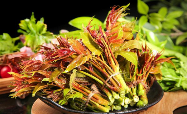 香椿什么时候发芽采摘