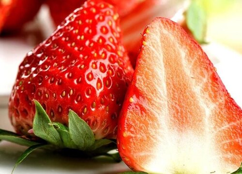 丹东99草莓每年几月份有